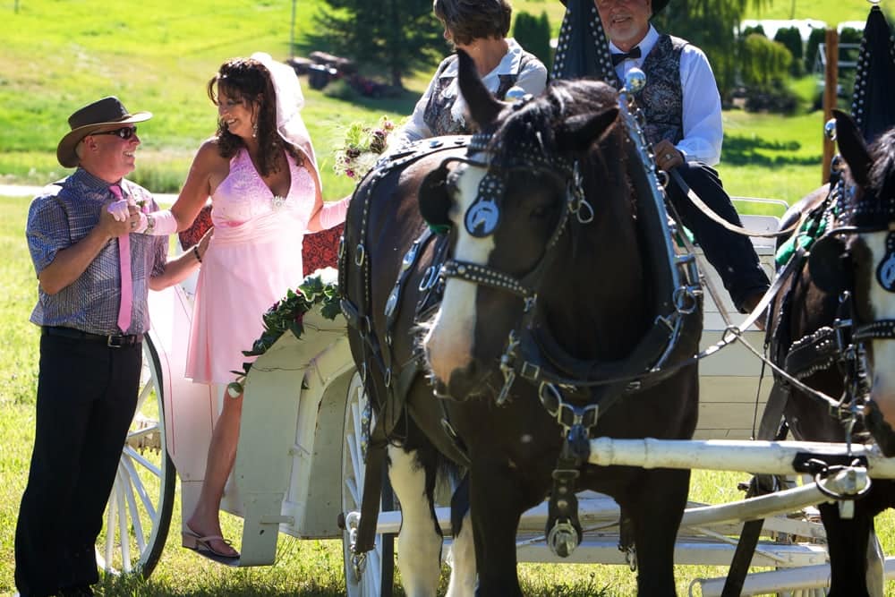 Wedding with Horse Drawn Carriage