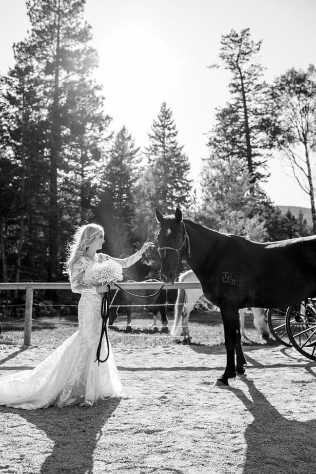 Beautiful Bride Petting a Horse